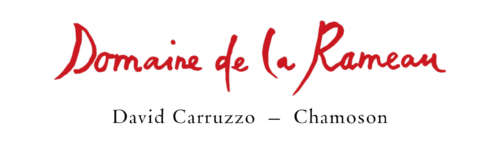 BONVIN CAVE SUISSE DE L'ANNEE logo